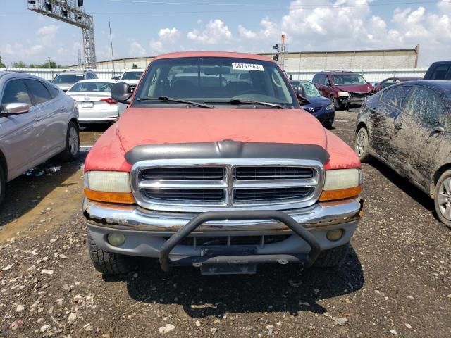 2001 Dodge Dakota Quattro