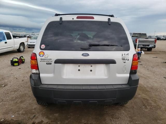 2007 Ford Escape XLT