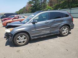 Salvage cars for sale from Copart Brookhaven, NY: 2010 Honda CR-V EXL