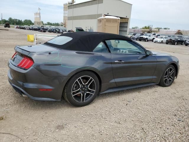 2019 Ford Mustang