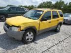 2002 Ford Escape XLT