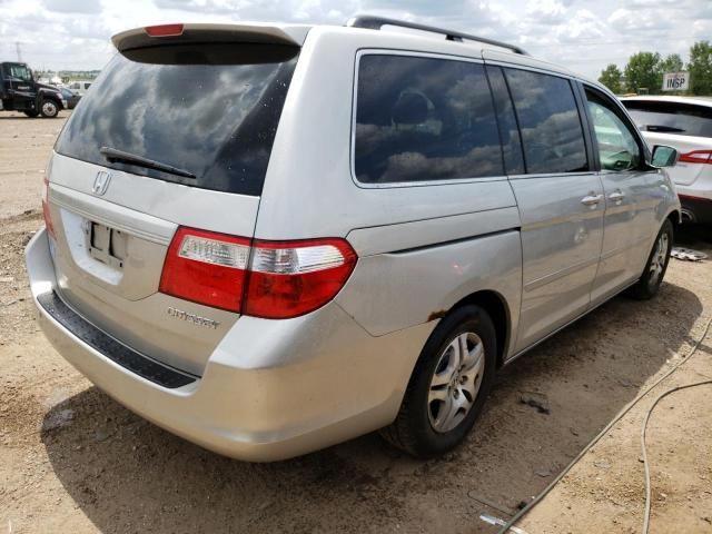 2005 Honda Odyssey EXL