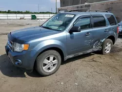 Salvage cars for sale from Copart Fredericksburg, VA: 2010 Ford Escape XLT