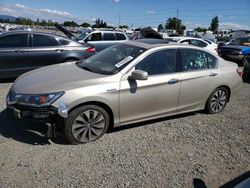 Salvage cars for sale at Eugene, OR auction: 2015 Honda Accord Hybrid EXL