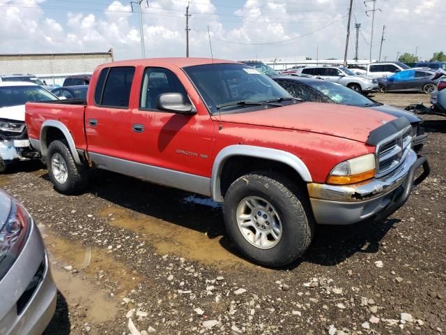 2001 Dodge Dakota Quattro