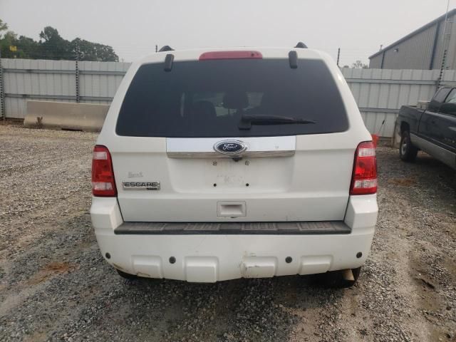 2010 Ford Escape Limited