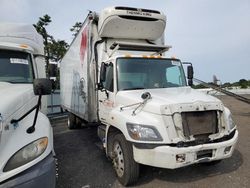 Salvage trucks for sale at Brookhaven, NY auction: 2019 Hino 258 268