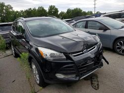 Salvage cars for sale at Fort Wayne, IN auction: 2013 Ford Escape Titanium