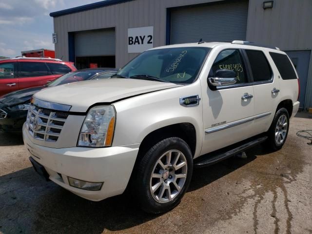 2009 Cadillac Escalade Hybrid