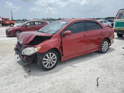 2010 Toyota Corolla Base for sale in Arcadia, FL