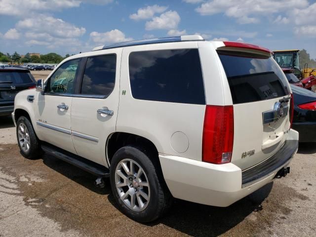 2009 Cadillac Escalade Hybrid