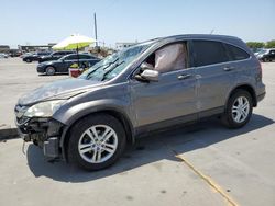 Honda salvage cars for sale: 2010 Honda CR-V EXL