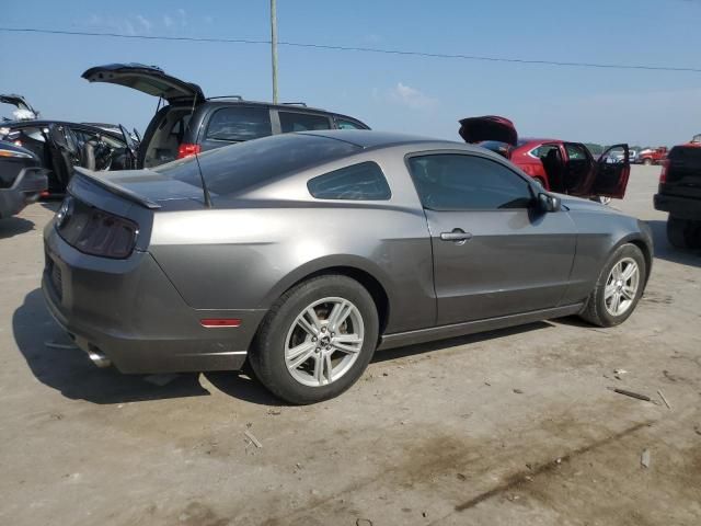 2014 Ford Mustang