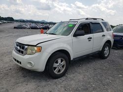 Salvage cars for sale from Copart Madisonville, TN: 2012 Ford Escape XLT