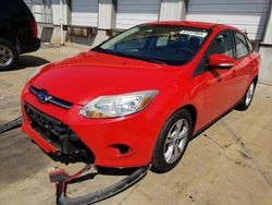 Ford Focus SE salvage cars for sale: 2014 Ford Focus SE