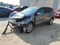 Salvage cars for sale at Lawrenceburg, KY auction: 2013 Ford Escape SEL
