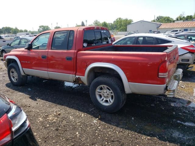 2001 Dodge Dakota Quattro