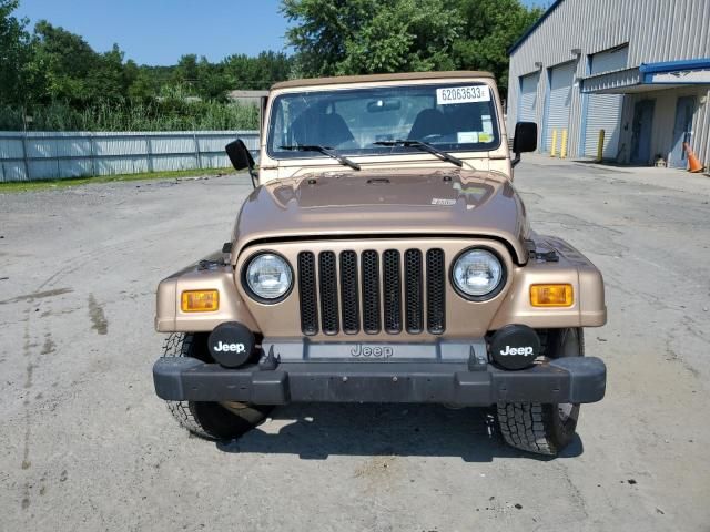 2000 Jeep Wrangler / TJ Sahara