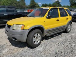 Salvage cars for sale from Copart Madisonville, TN: 2001 Ford Escape XLT