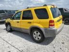 2002 Ford Escape XLT