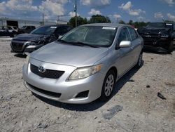 Salvage cars for sale at Montgomery, AL auction: 2010 Toyota Corolla Base