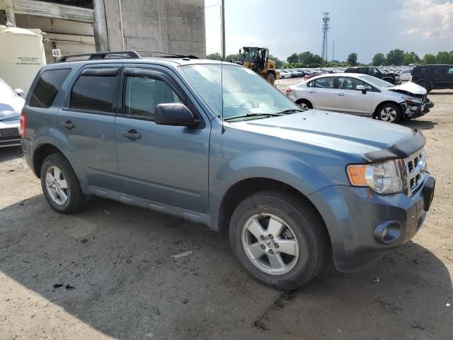 2010 Ford Escape XLT