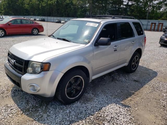 2010 Ford Escape XLT