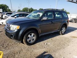 Salvage cars for sale at Columbus, OH auction: 2009 Ford Escape XLS
