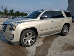 Salvage cars for sale from Copart Lawrenceburg, KY: 2015 Cadillac Escalade Luxury