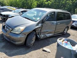 Salvage cars for sale from Copart Marlboro, NY: 2007 Honda Odyssey EXL