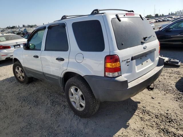 2003 Ford Escape XLT