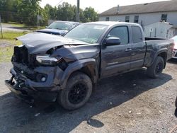 Toyota Tacoma salvage cars for sale: 2020 Toyota Tacoma Access Cab