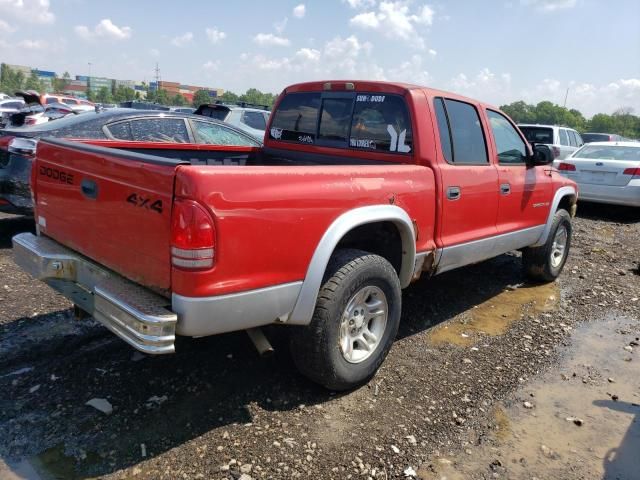 2001 Dodge Dakota Quattro