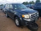 2008 Ford Escape XLS