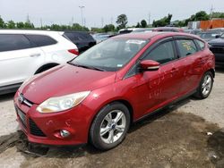 Ford Focus salvage cars for sale: 2012 Ford Focus SE