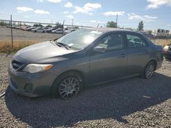 Salvage cars for sale at Eugene, OR auction: 2011 Toyota Corolla Base