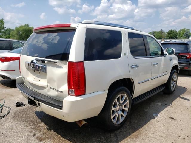 2009 Cadillac Escalade Hybrid