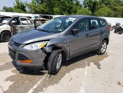 Salvage cars for sale at Bridgeton, MO auction: 2014 Ford Escape S