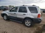 2007 Ford Escape XLT