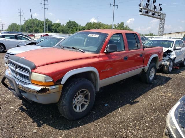 2001 Dodge Dakota Quattro