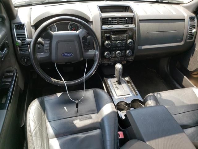 2010 Ford Escape Limited