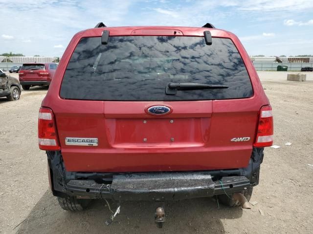 2008 Ford Escape XLT