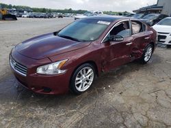 Salvage cars for sale at Memphis, TN auction: 2011 Nissan Maxima S