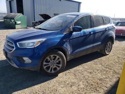 Salvage cars for sale at Helena, MT auction: 2017 Ford Escape SE