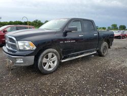 Salvage Trucks for parts for sale at auction: 2012 Dodge RAM 1500 SLT