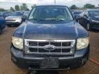 2008 Ford Escape XLS