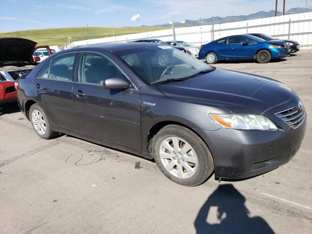 2008 Toyota Camry Hybrid