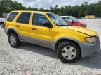 2002 Ford Escape XLT