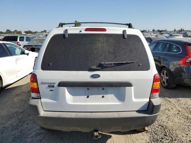 2003 Ford Escape XLT