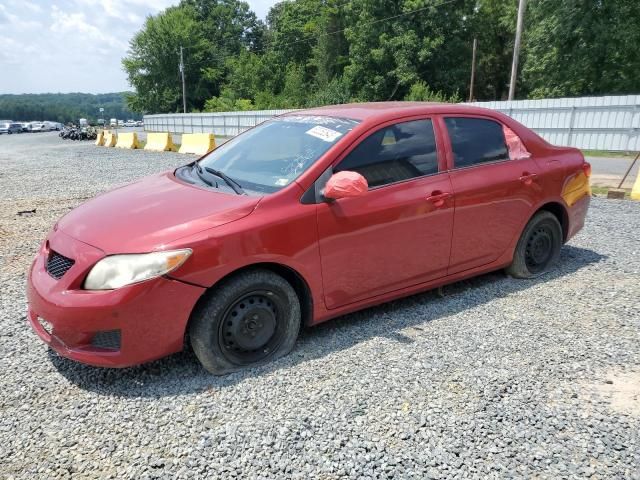 2009 Toyota Corolla Base